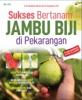 Sukses Bertanam Jambu Biji